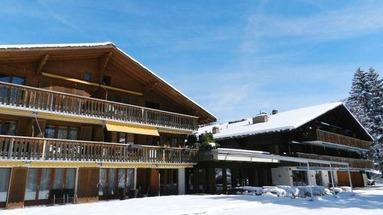Alpine Lodge (Gstaad)