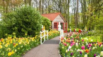 Wiosenna Holandia
